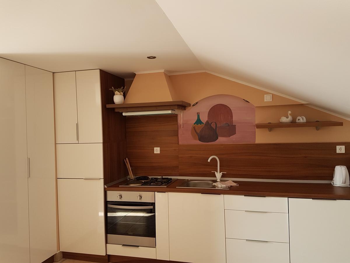 Apartments Suzana نوفي فينودولسكي المظهر الخارجي الصورة